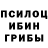 Галлюциногенные грибы GOLDEN TEACHER saule fly