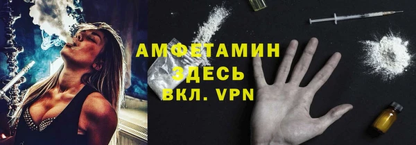 дурь Бородино