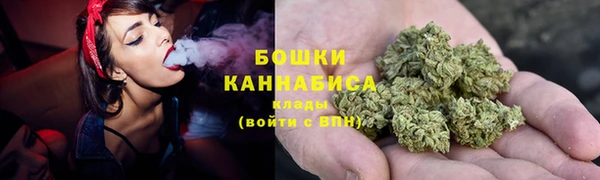 дурь Бородино
