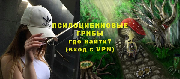 дурь Бородино