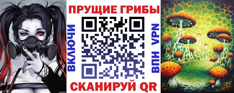 Галлюциногенные грибы ЛСД  Купить где  Никольское 